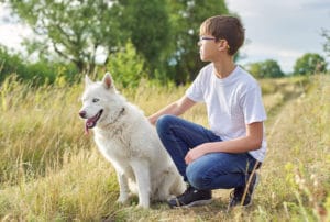 O que pode deixar o cachorro com falta de ar?